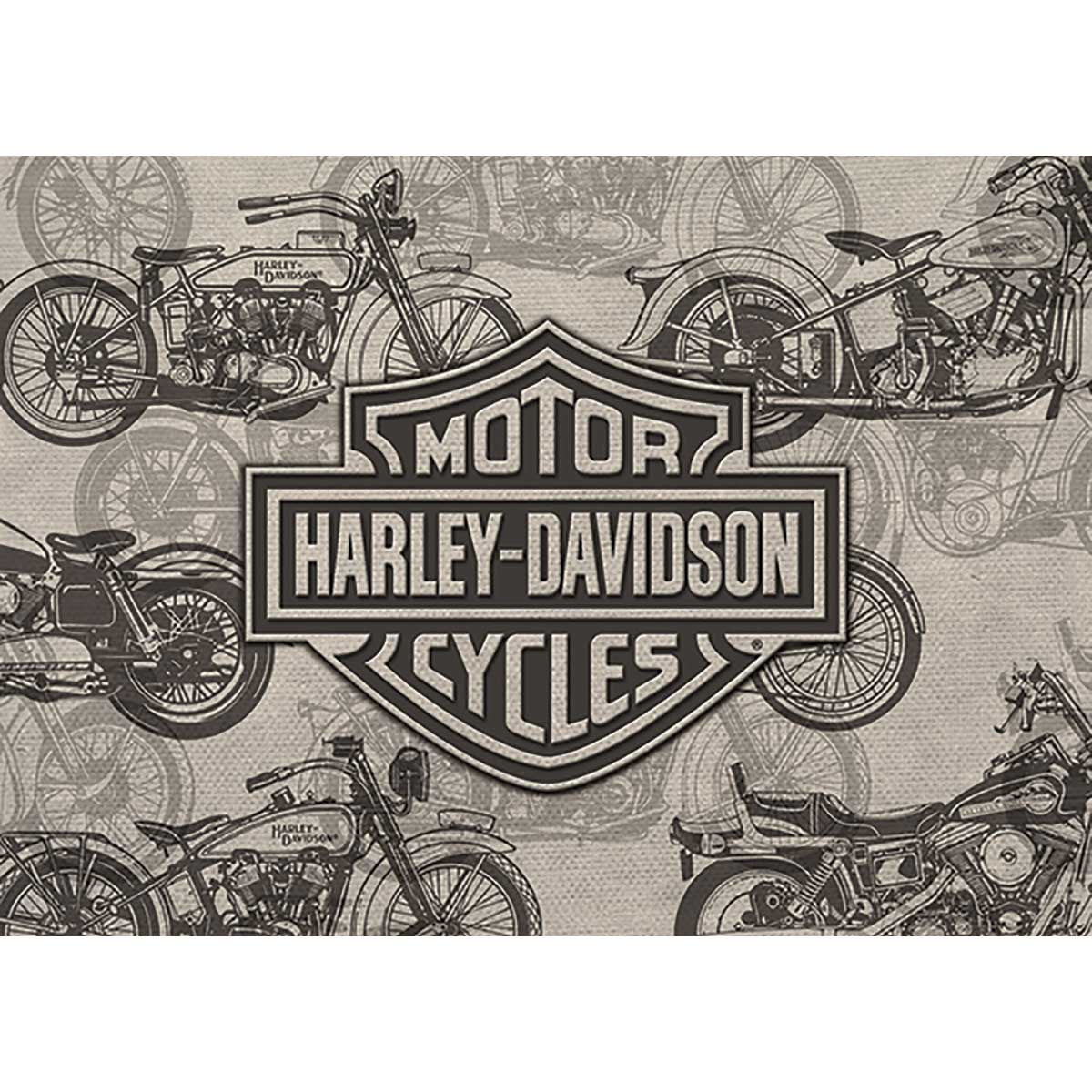 Harley-Davidson® Motorcycles Blank Card